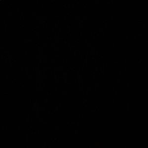 Meet your Posher, Nena